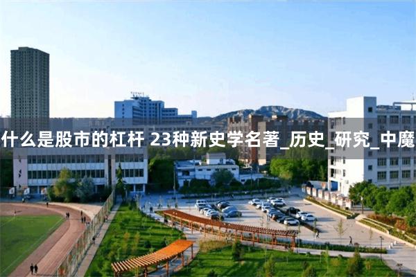 什么是股市的杠杆 23种新史学名著_历史_研究_中魔