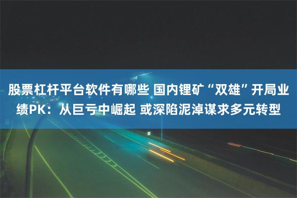 股票杠杆平台软件有哪些 国内锂矿“双雄”开局业绩PK：从巨亏中崛起 或深陷泥淖谋求多元转型