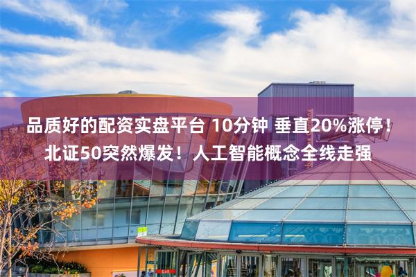 品质好的配资实盘平台 10分钟 垂直20%涨停！北证50突然爆发！人工智能概念全线走强