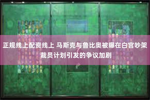 正规线上配资线上 马斯克与鲁比奥被曝在白宫吵架 裁员计划引发的争议加剧