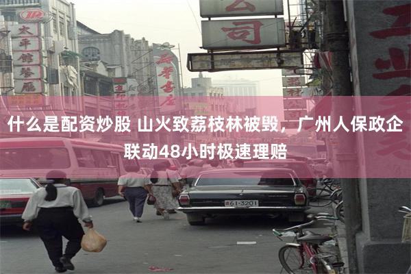 什么是配资炒股 山火致荔枝林被毁，广州人保政企联动48小时极速理赔