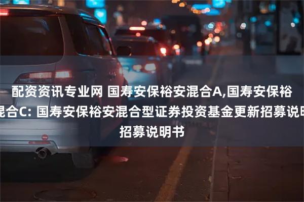 配资资讯专业网 国寿安保裕安混合A,国寿安保裕安混合C: 国寿安保裕安混合型证券投资基金更新招募说明书