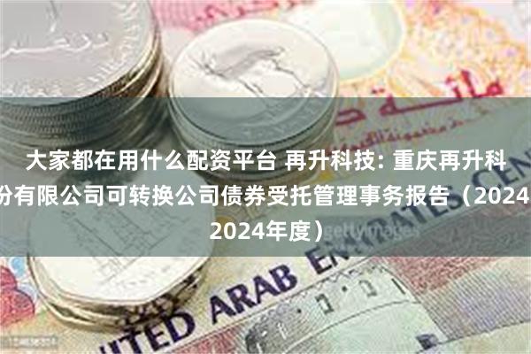 大家都在用什么配资平台 再升科技: 重庆再升科技股份有限公司可转换公司债券受托管理事务报告(2024年度)
