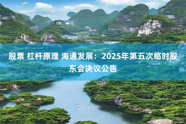 股票 杠杆原理 海通发展：2025年第五次临时股东会决议公告