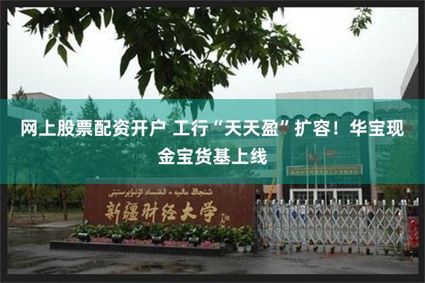 网上股票配资开户 工行“天天盈”扩容！华宝现金宝货基上线