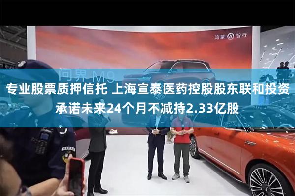 专业股票质押信托 上海宣泰医药控股股东联和投资承诺未来24个月不减持2.33亿股