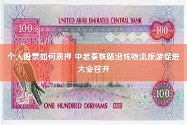 个人股票如何质押 中老泰铁路沿线物流旅游促进大会召开