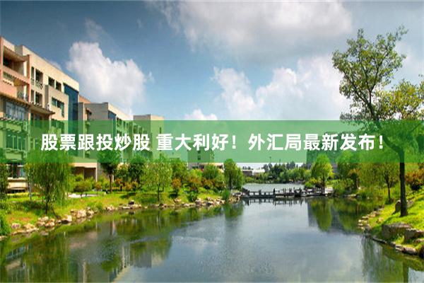 股票跟投炒股 重大利好！外汇局最新发布！