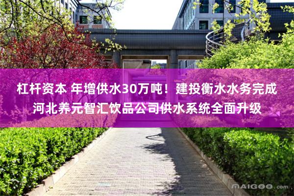 杠杆资本 年增供水30万吨！建投衡水水务完成河北养元智汇饮品公司供水系统全面升级