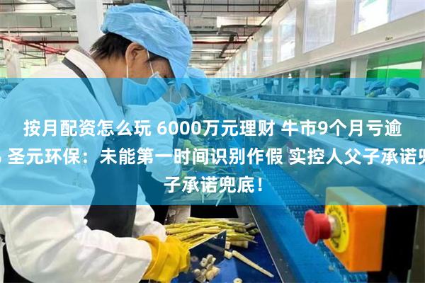 按月配资怎么玩 6000万元理财 牛市9个月亏逾80% 圣元环保：未能第一时间识别作假 实控人父子承诺兜底！