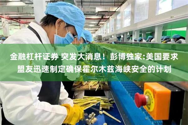 金融杠杆证券 突发大消息！彭博独家:美国要求盟友迅速制定确保霍尔木兹海峡安全的计划